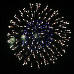 Balona 150 mm -  Gold Strobe Crown Chrys to Lemon with Blue Pistil