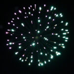 Balona 150 mm -  Half Purple To White Strobe Willow Into Half Green To Gold Willow