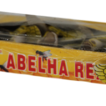 4A139 - Aviao ABELHA REAL