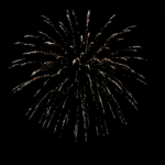 Balona 100 mm - Gold Titanium Willow